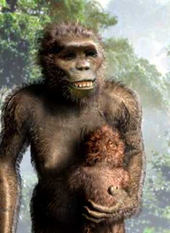 Australopithecus anamesis: 4 millones de años a.C.