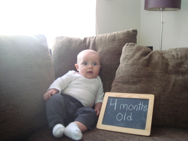4 months old