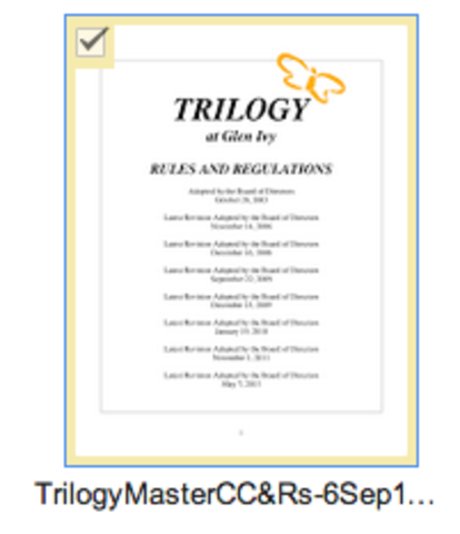TRILOGY Master CC&Rs Adopted