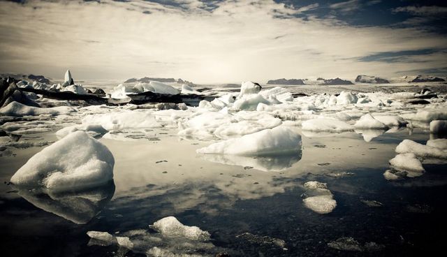De invernadero a congelador: 34 millones de años atrás