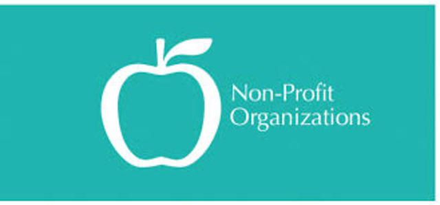 Volunteer at non-profit organization