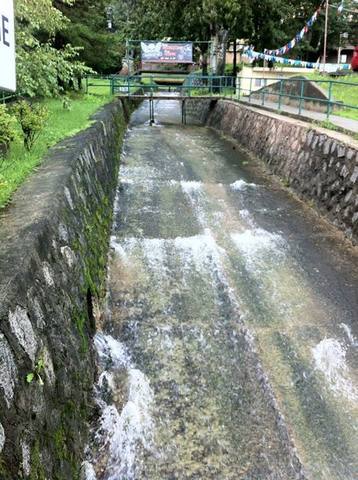 Turtle Ditch by PX by Luis Rivera Vargas