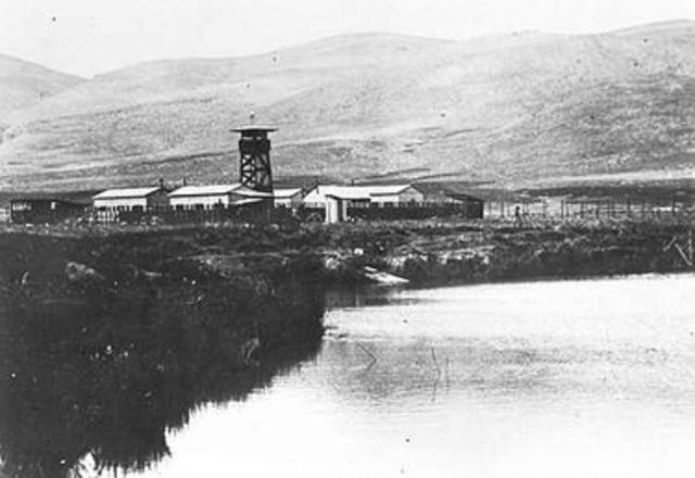 הקמת יישובי חומה ומגדל