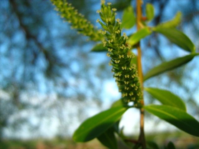 First this happened.