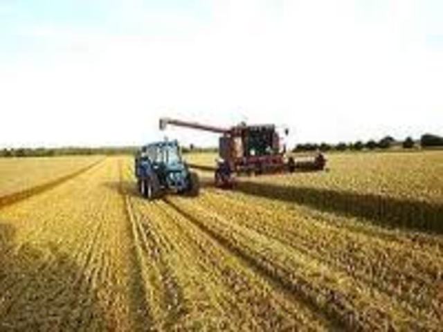 Métis Harvesting Rights