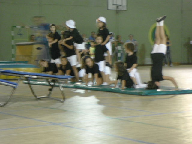 O meu sarau de ginastica