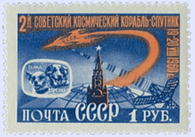 Animals and plants returned back to earth