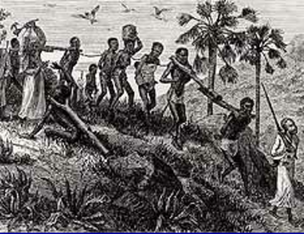 The African Slave Trade and the Middle Passage
