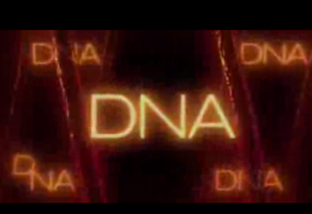 ident3 ; dna at 0.43