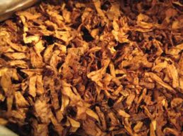 Tobacco