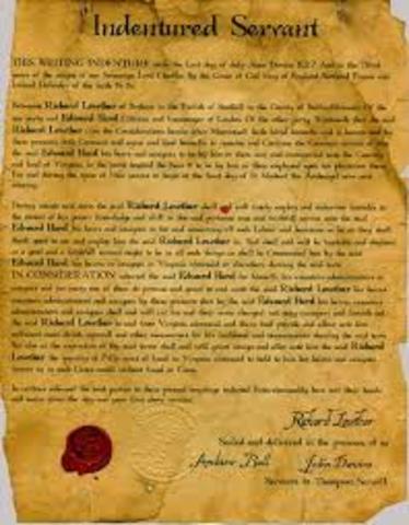 Indentured Servents