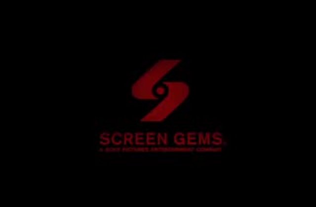 Production Company - 13seconds