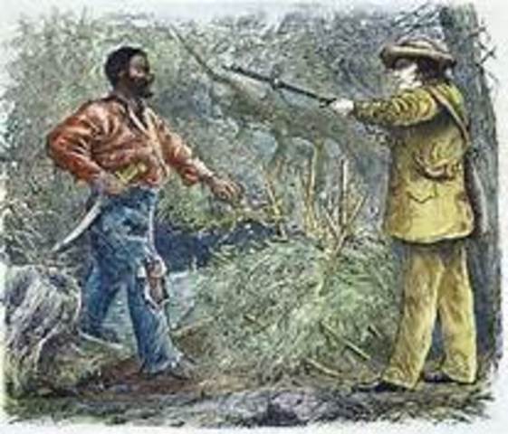 Nat Turners slavery rebellion