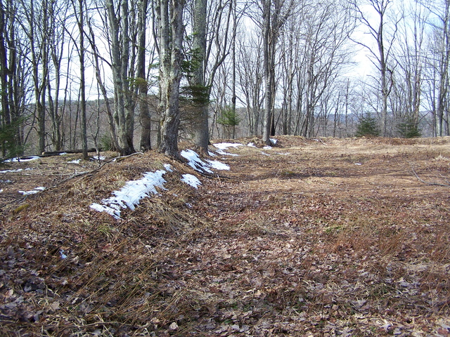 Battle of Cheat Mountain