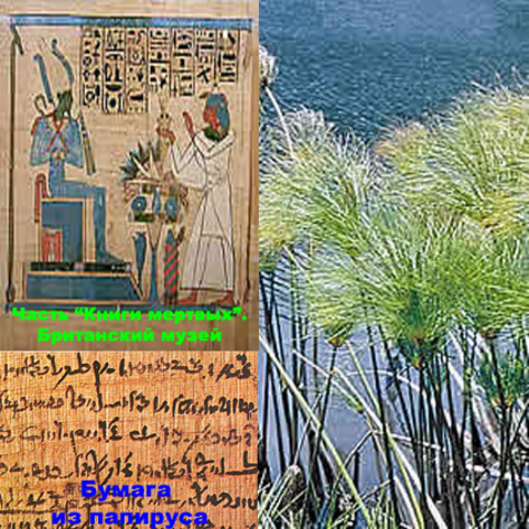 Папирус - 3000 лет до нашей эры