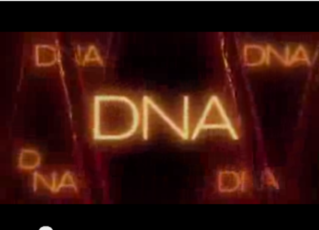 0.43 DNA ident