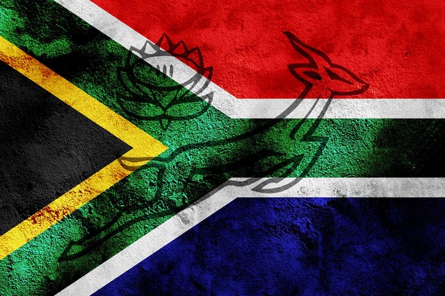 went back to south africa