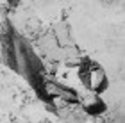 union take richmond and petersburg