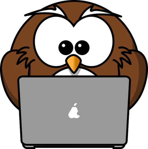 Onced it was introduced to the public..