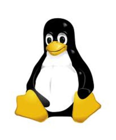 Nace Linux