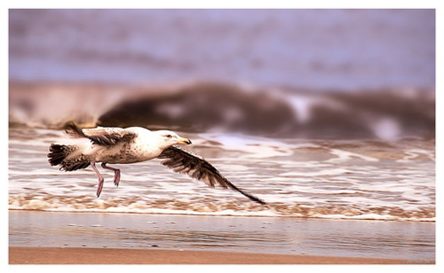 The first step in the learning process