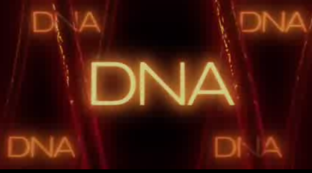 Another Distributiom Co.