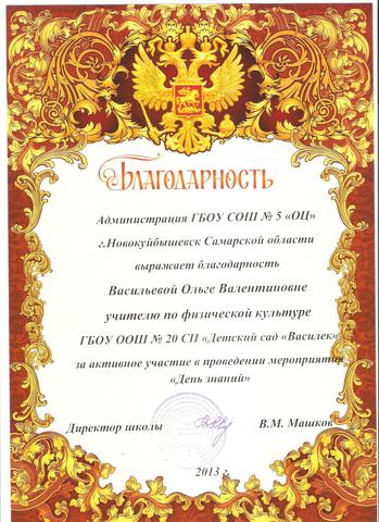 Благодарность Васильевой О.В.