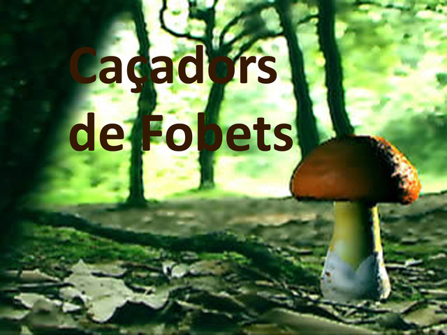 Caçadors de Fobets