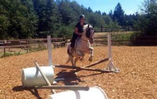 Started Enlgish Riding Lessons