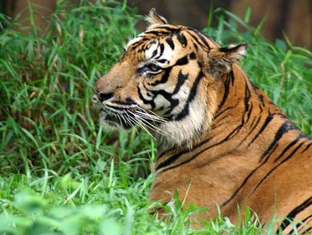 I went to the Omaha Zoo