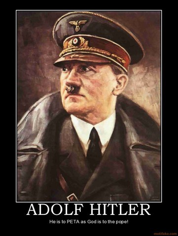 Adolf Hitler's rise to power in Germany