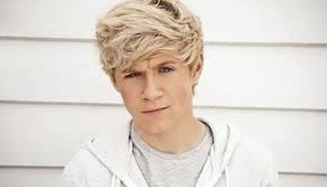 One Direction concert!!!!!!!