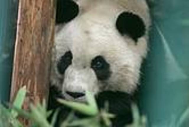 Hora do Planeta 2010 é lançada mundialmente na China