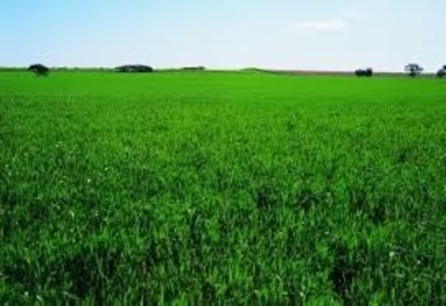 National Park Service Organic Act