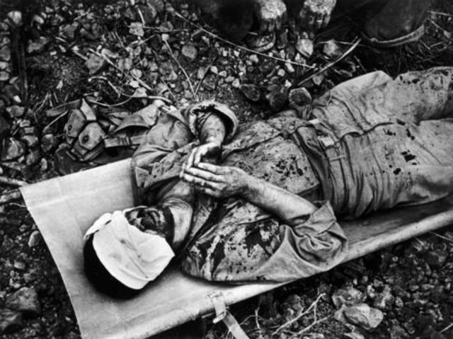 Wilson- The Caretaker