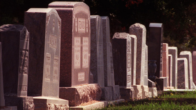 Farewell to Salinger