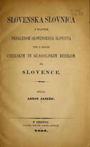 Slovenska slovnica s kratkim pregledom slovenskega slovstva ter malim cirilskim in glagoliškim berilom za Slovence