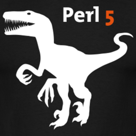 Perl 5