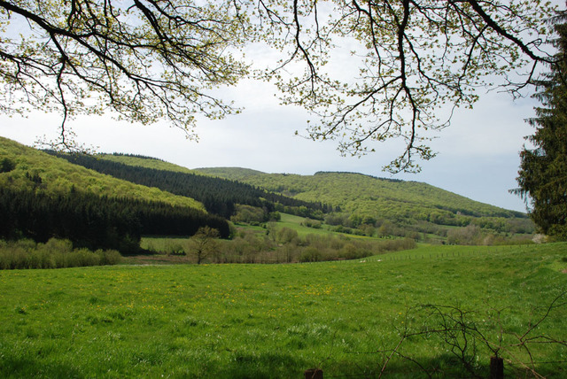 Leon's geboorte en eerste levensjaren