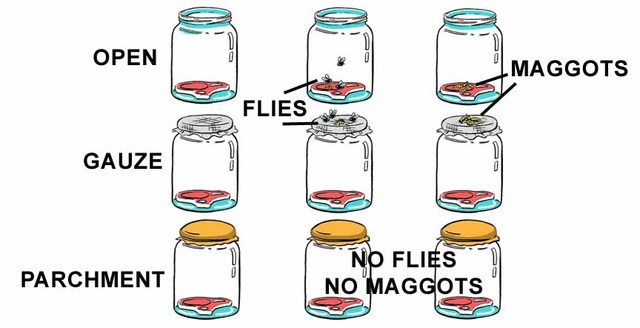 Second hypothesis: spontaneous generation. Refutation.