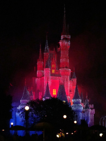 Disney World