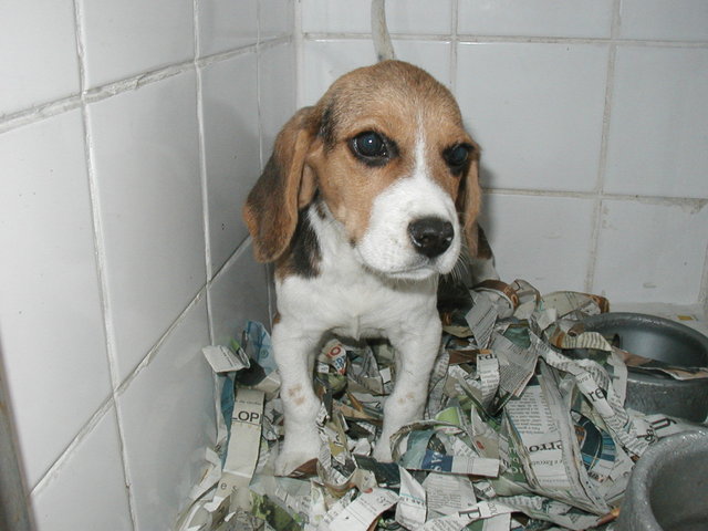 Bebezinha da família...eterna!