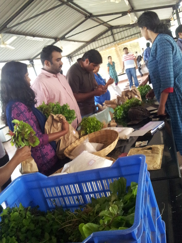 WEEK 9 : Organic Food Stall