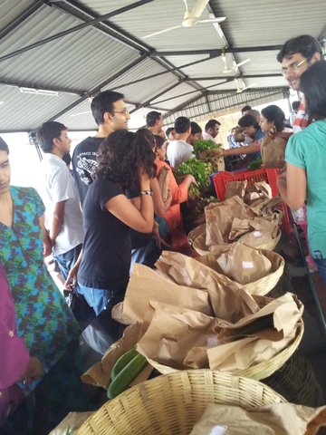 WEEK 10 - Organic Stall