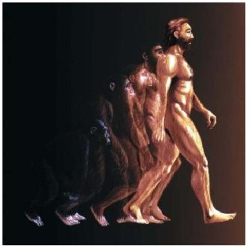 Homo Sapiens (150.000 años - actualidad)