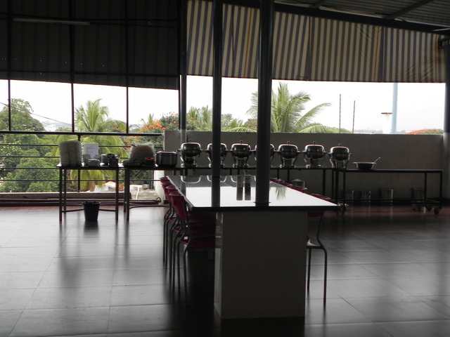 WEEK 10: Meet Terrace Colling Vendors