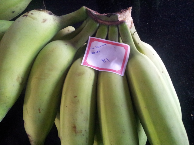 WEEK 13 : Organic Stall