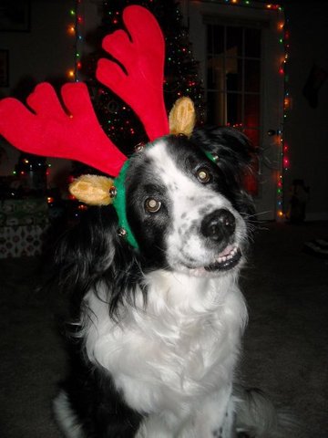 Mi familia y yo nos mudamos a Fort. Bragg en Carolina del Norte.