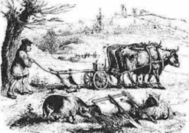 Base fundalmente agraria