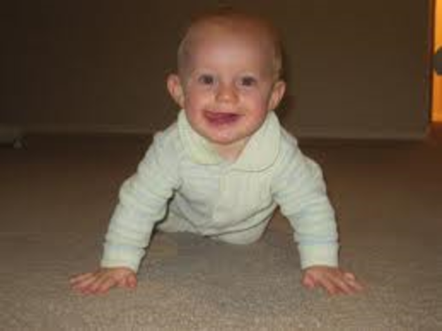 Seven to eight months